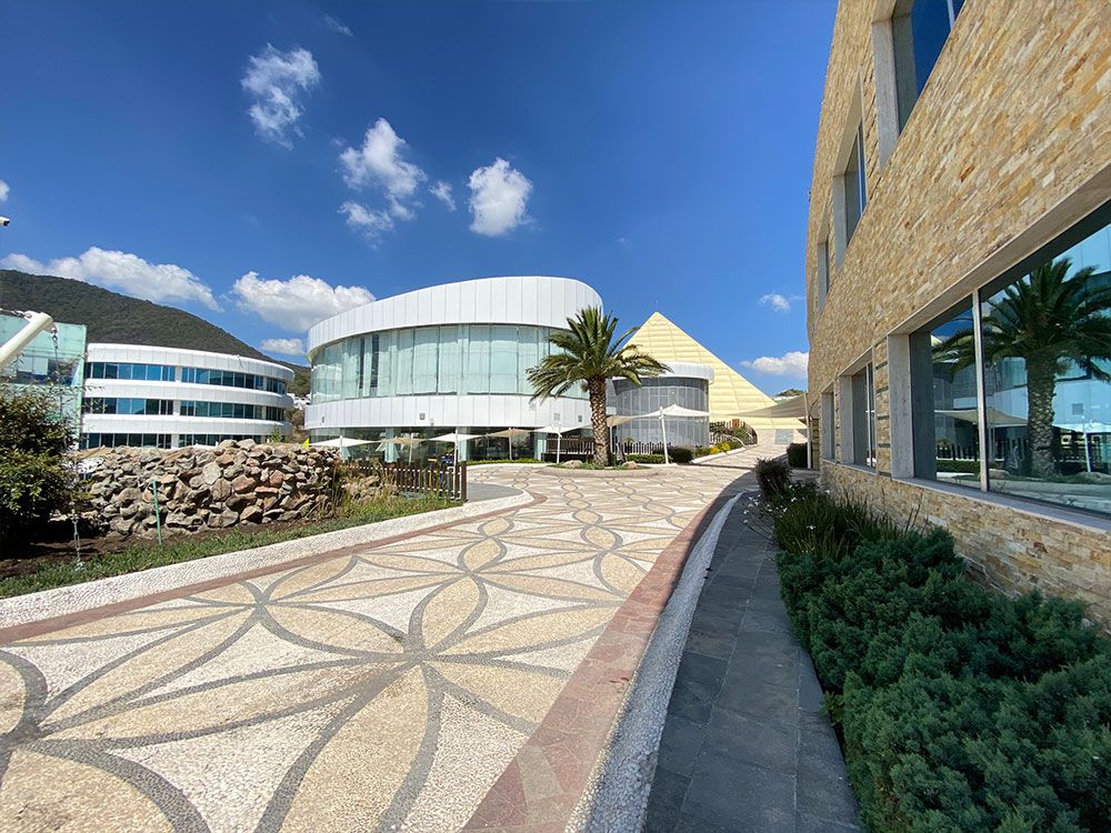 Sendero entre edificios del campus