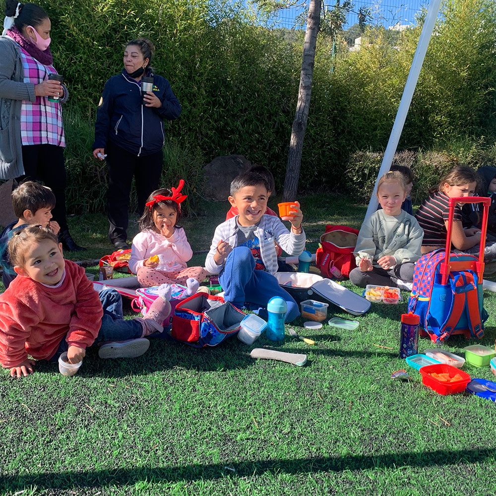 Niños aprendiendo al aire libre